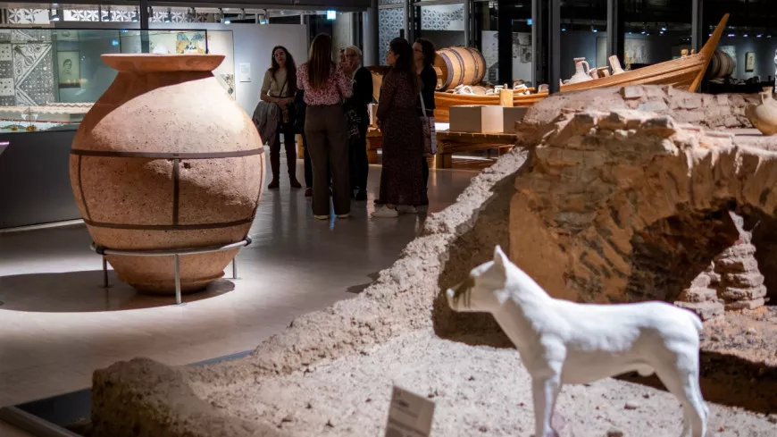 Faute de moyens, le projet de modernisation du musée gallo-romain de Saint-Romain-en-Gal remis en cause