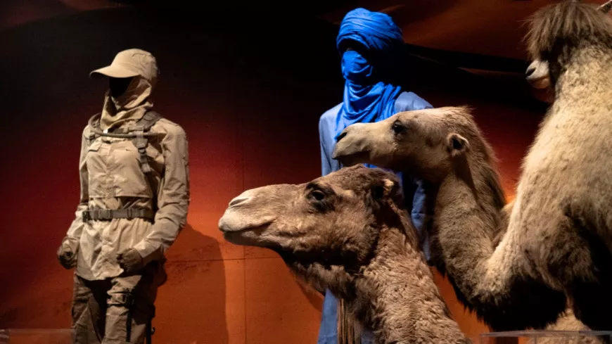 Exposition Trop Forts ! au musée des Confluences : un voyage dans les milieux extrêmes de la Terre